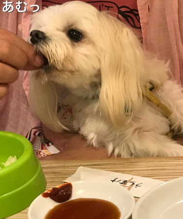 b0193480_13575567.jpeg