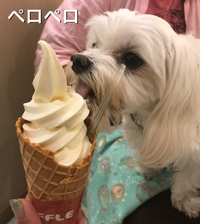 b0193480_13581349.jpeg