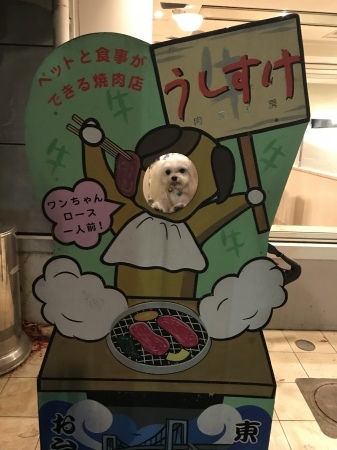 b0193480_13583122.jpeg