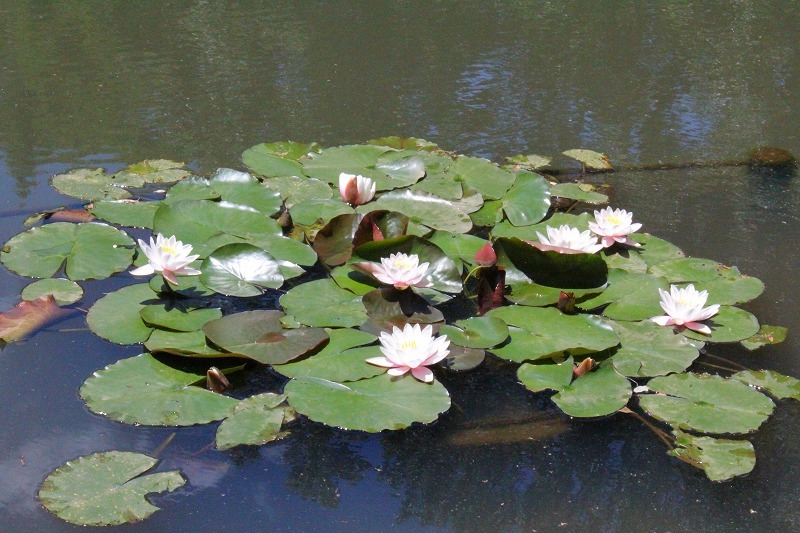 e0374581_10554619.jpg