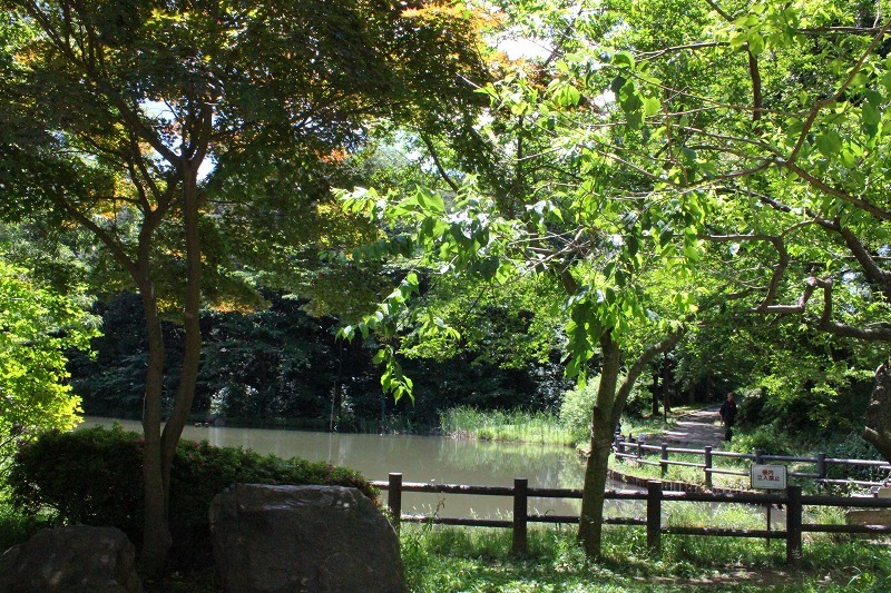 e0374581_10561937.jpg