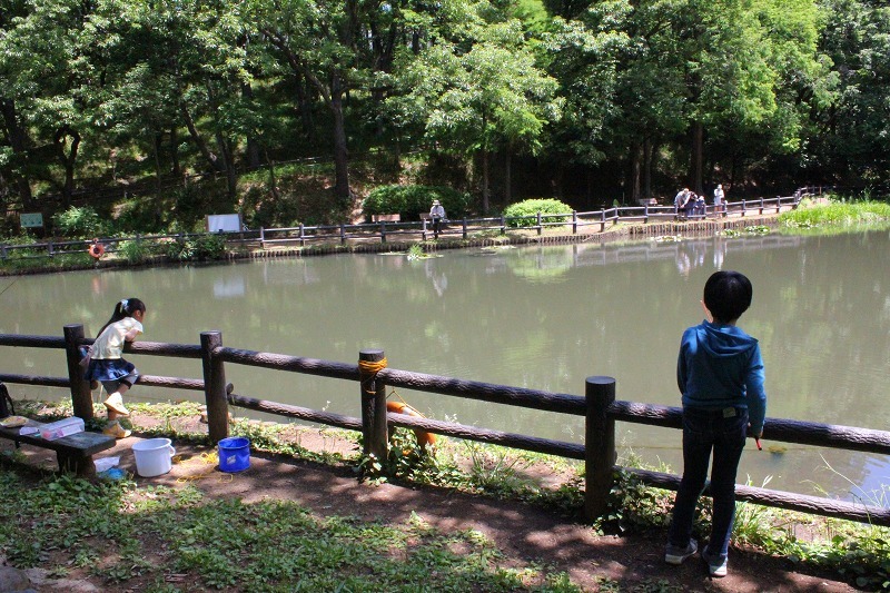 Daily Diary 5 5 26 横浜市児童遊園地で池釣り Ltアジ船で初の船釣り Ruri Cafe On The Hill