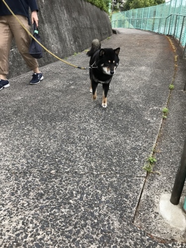 f0315081_22020825.jpeg
