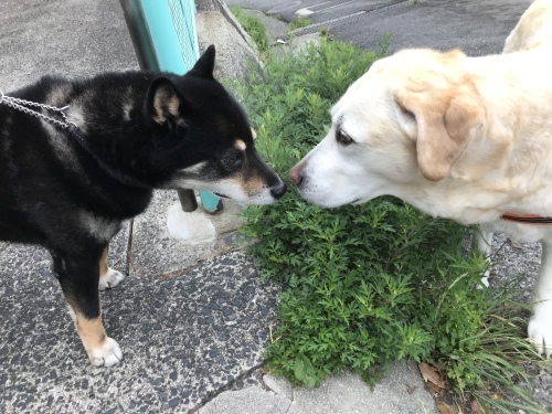 f0315081_22041505.jpeg