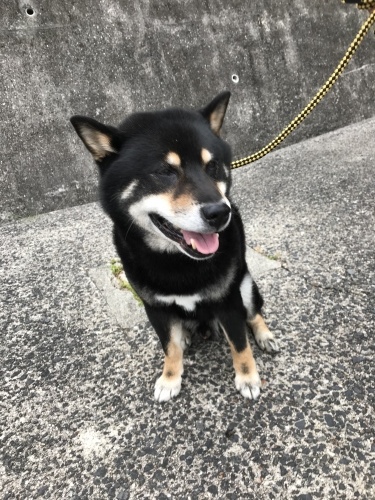f0315081_22070603.jpeg