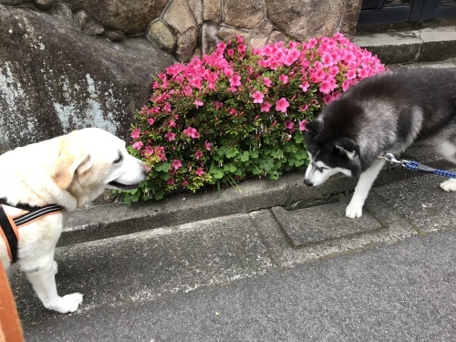 f0315081_22120769.jpeg