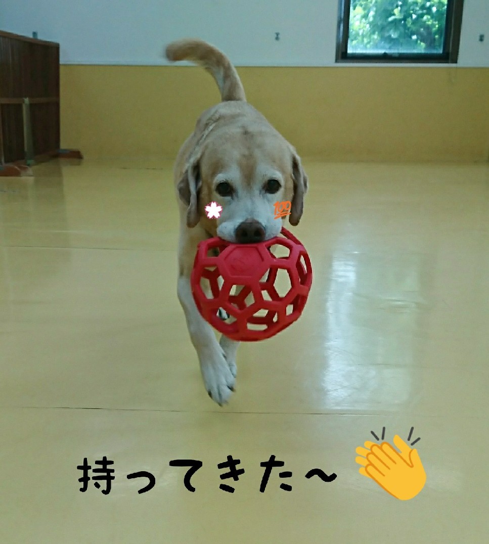好プレー⚾_f0357682_08064057.jpg