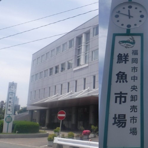 d0174683_21352167.jpeg