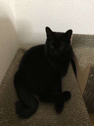 c0340786_12460650.jpeg
