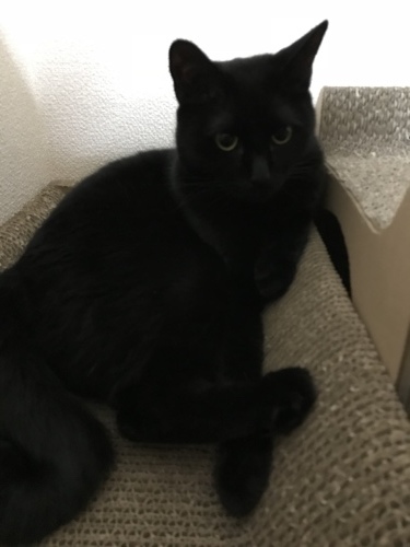 c0340786_12462325.jpeg