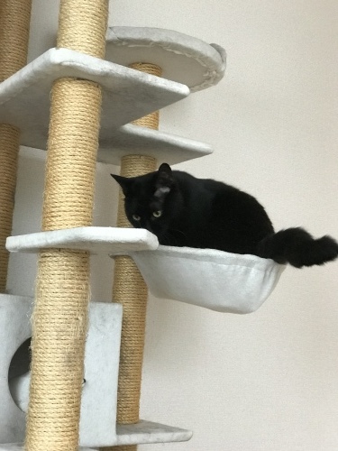 c0340786_12482016.jpeg