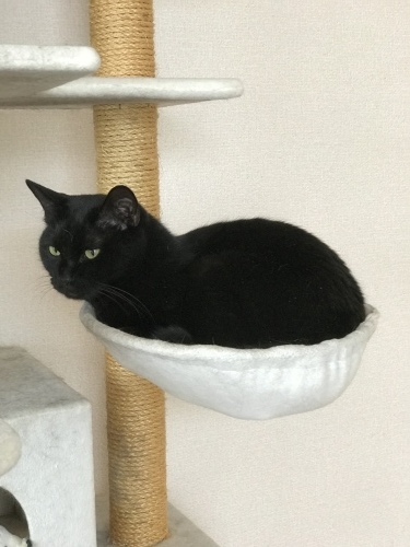 c0340786_12485344.jpeg
