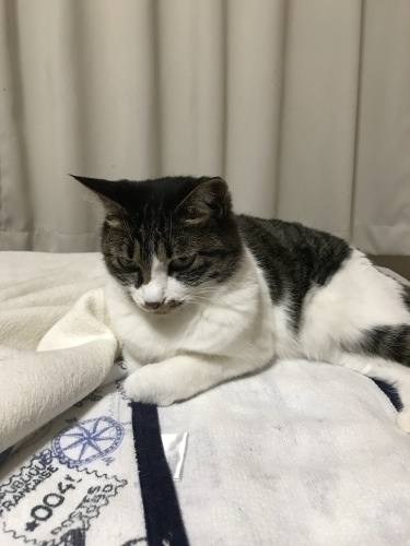 c0340786_12522240.jpeg