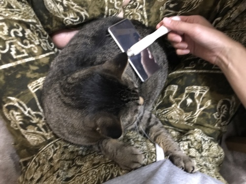 c0340786_12545219.jpeg