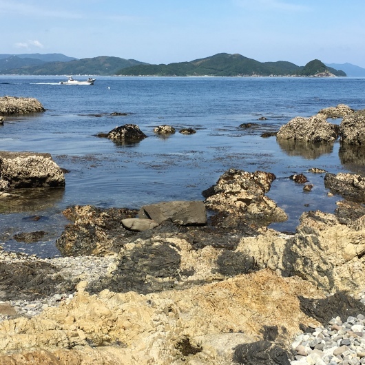 b0336787_12320863.jpeg