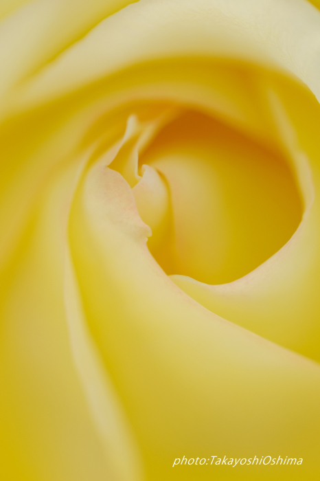 ロケハン_f0361287_16181634.jpg