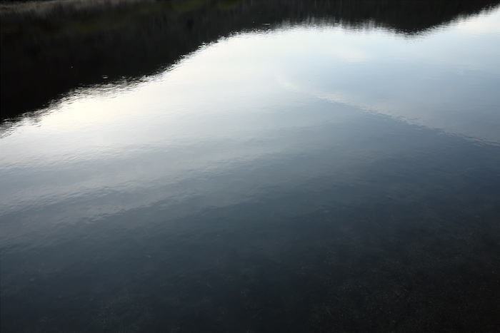 b0339488_20443946.jpg
