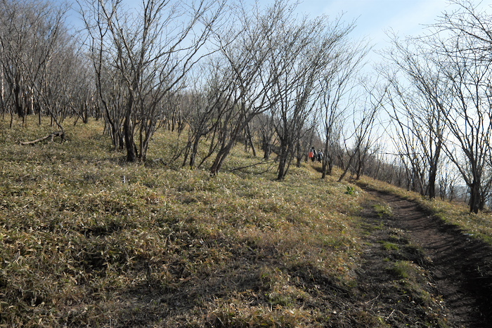 b0339488_20444855.jpg