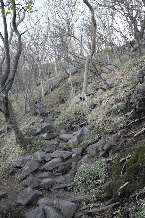 b0339488_20444863.jpg
