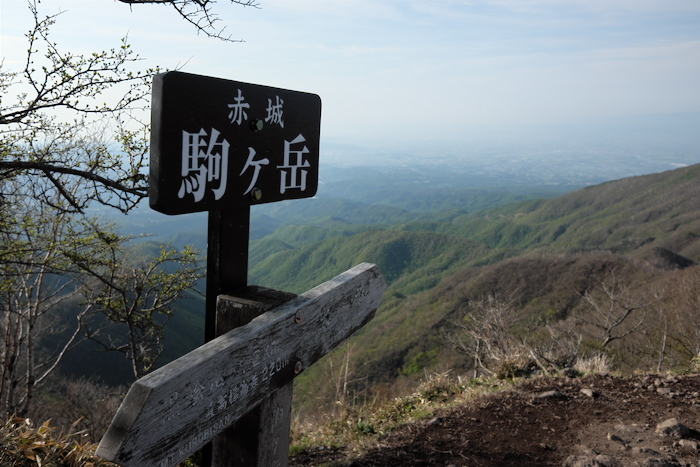 b0339488_20445950.jpg