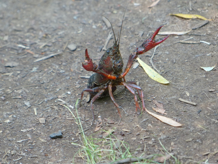 c0324393_07533998.jpg
