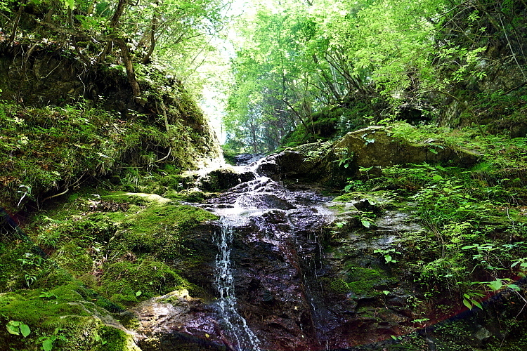 c0339900_00264467.jpg