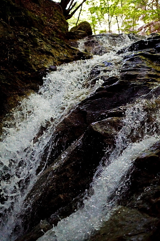 c0339900_00281553.jpg