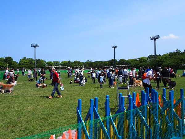 d0293002_2122473.jpg