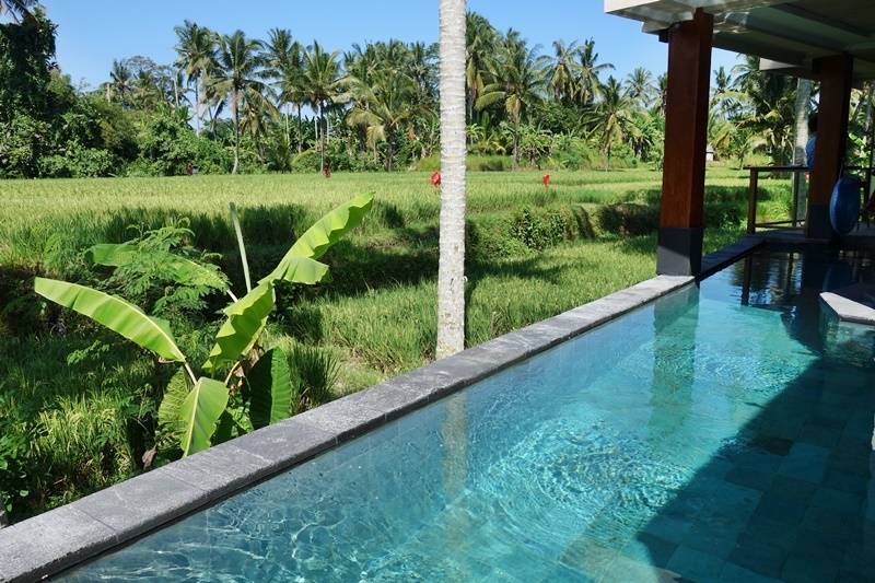 d0133704_13104705.jpg