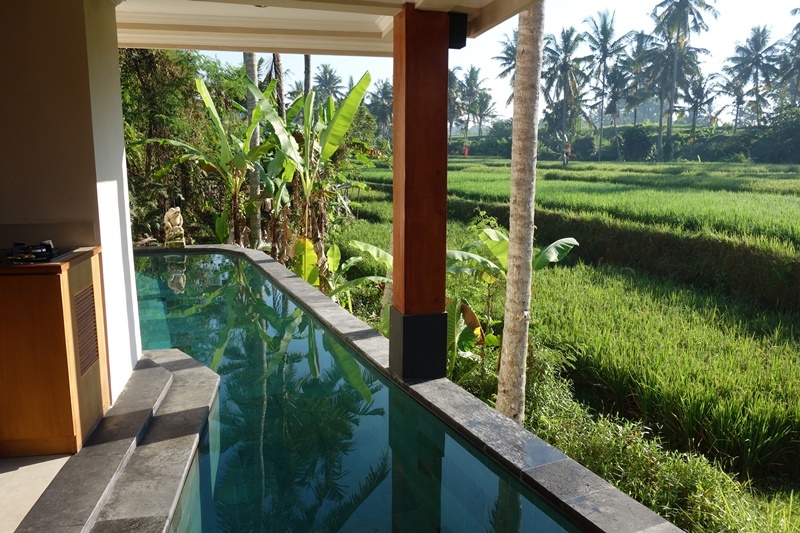 d0133704_13112038.jpg