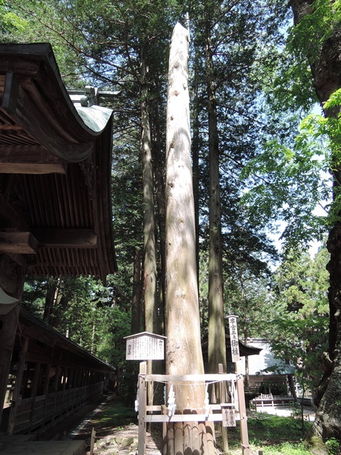 f0373905_10221169.jpg