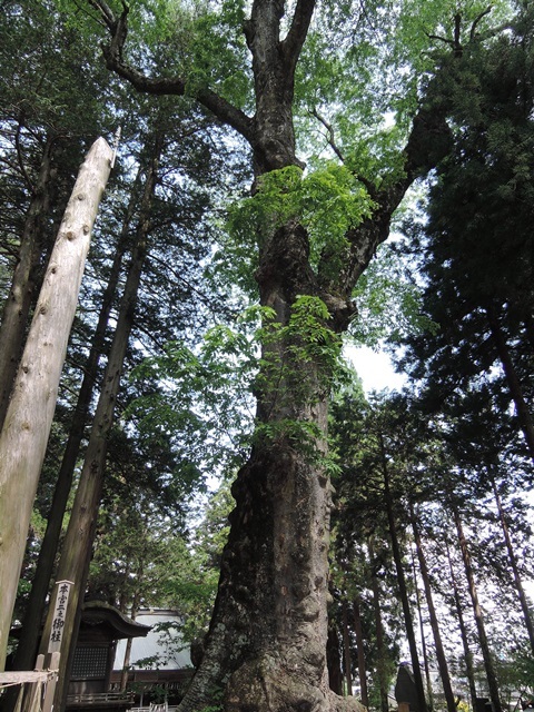 f0373905_10221427.jpg