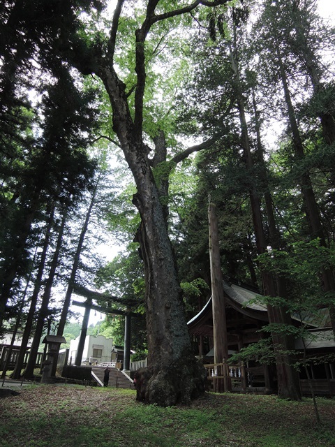 f0373905_10231574.jpg