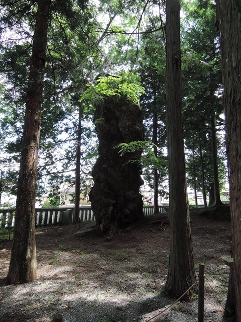 f0373905_10231875.jpg