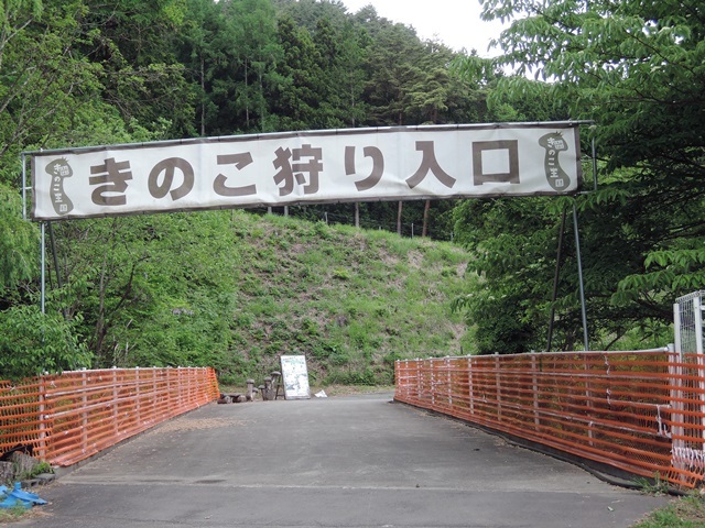 f0373905_14094002.jpg