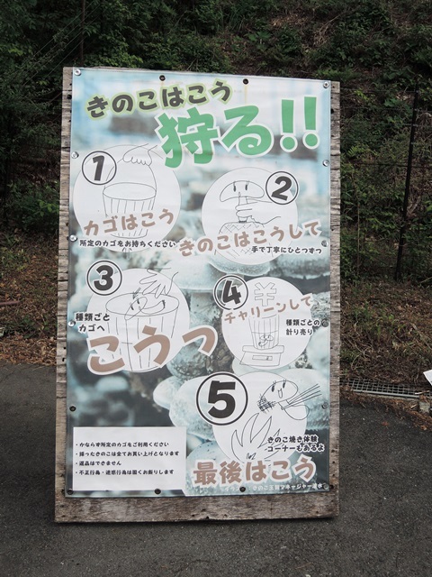 f0373905_14094301.jpg