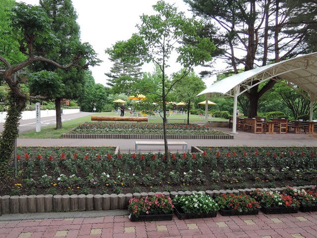 f0373905_14095554.jpg
