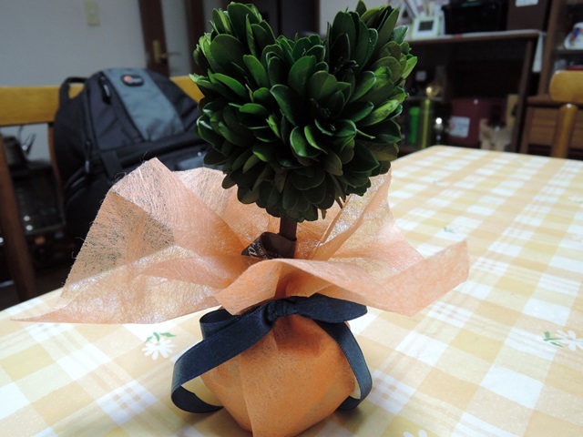 f0373905_14104235.jpg
