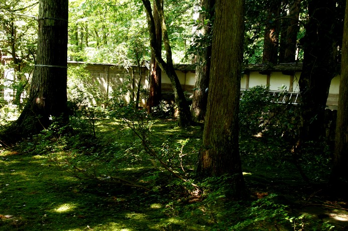 d0140806_1115978.jpg