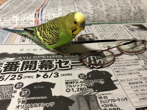 d0237309_07523419.jpeg