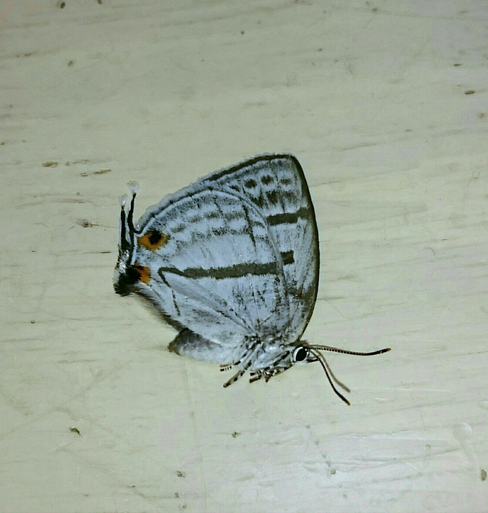 a0361610_19131895.jpg