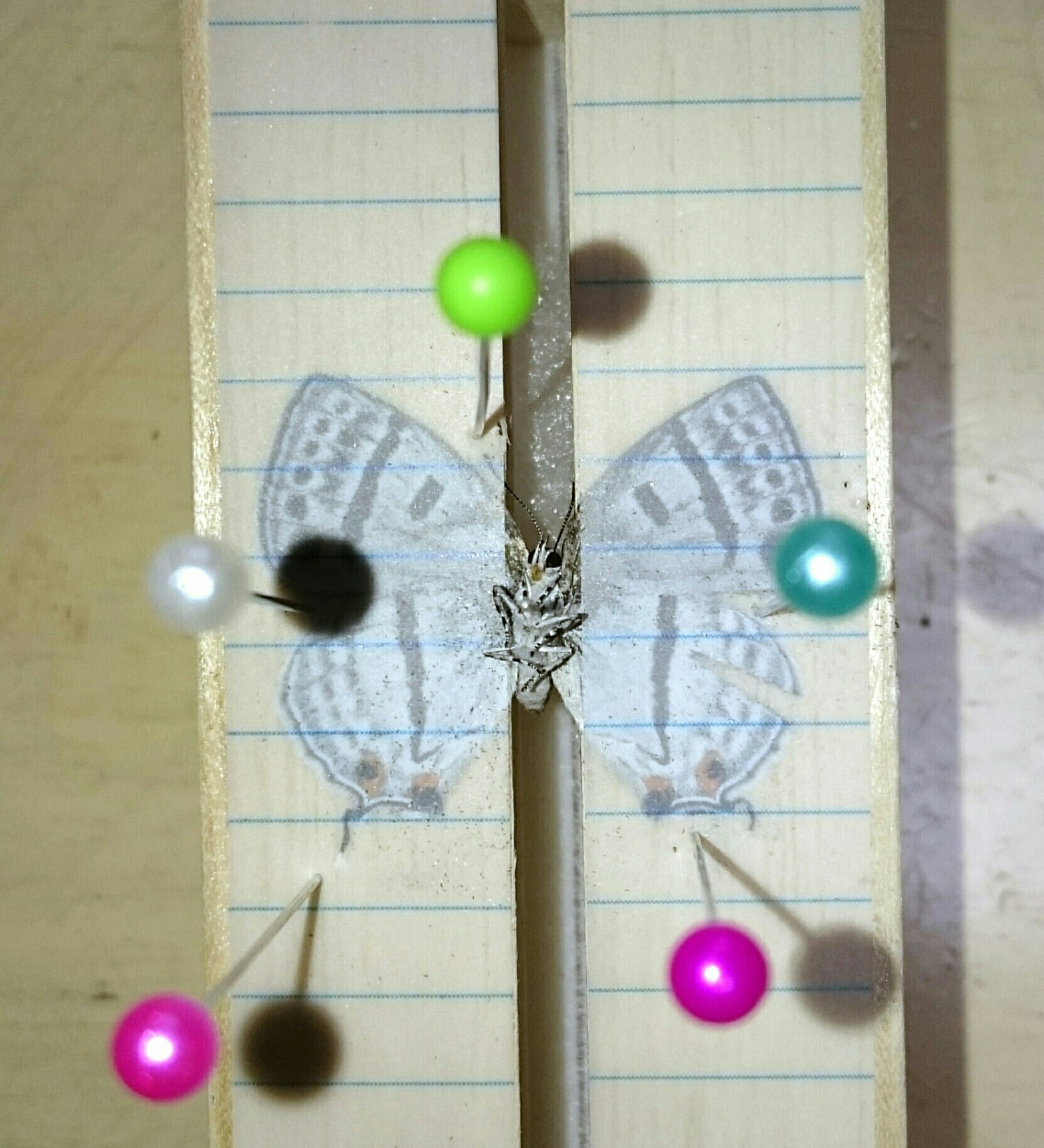 a0361610_19155101.jpg