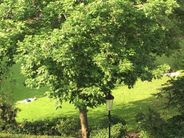 b0366211_12235096.jpeg