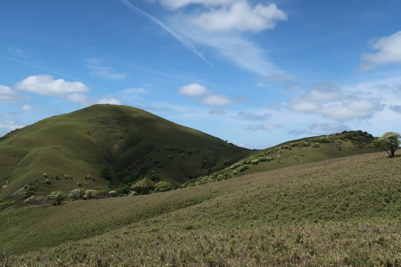 d0103314_23081206.jpg