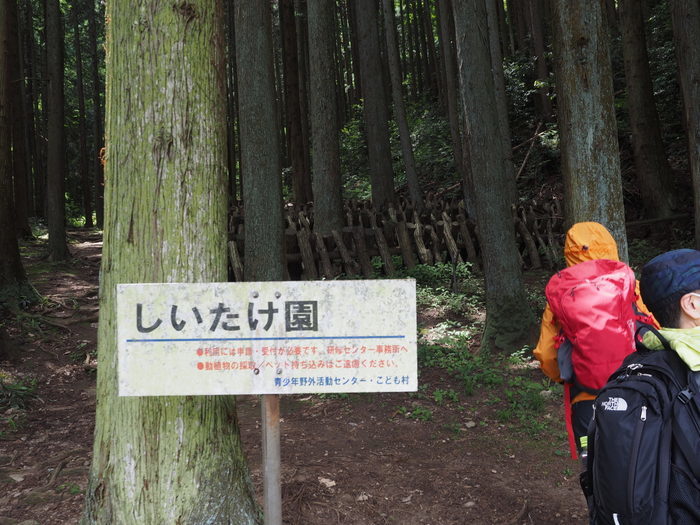 牛頭山登山_c0116915_00395433.jpg