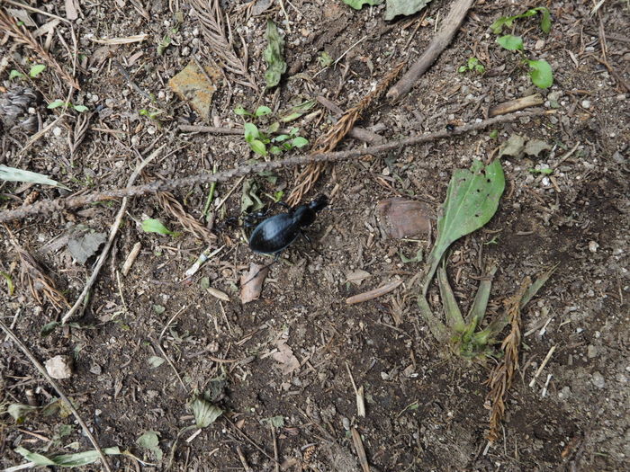 牛頭山登山_c0116915_00403680.jpg