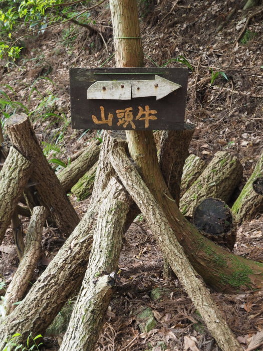 牛頭山登山_c0116915_00413018.jpg