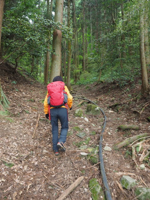 牛頭山登山_c0116915_00414450.jpg