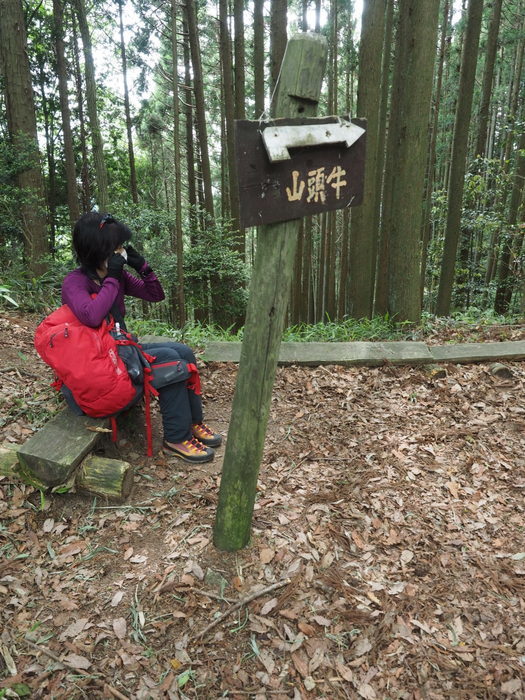 牛頭山登山_c0116915_00424535.jpg
