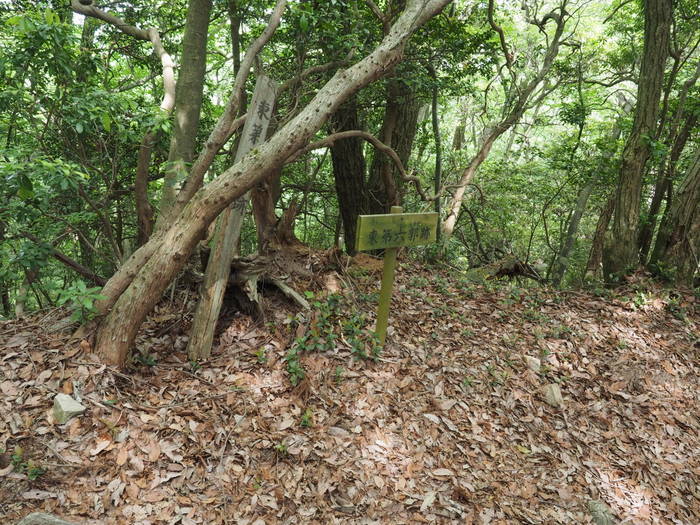 牛頭山登山_c0116915_00444196.jpg